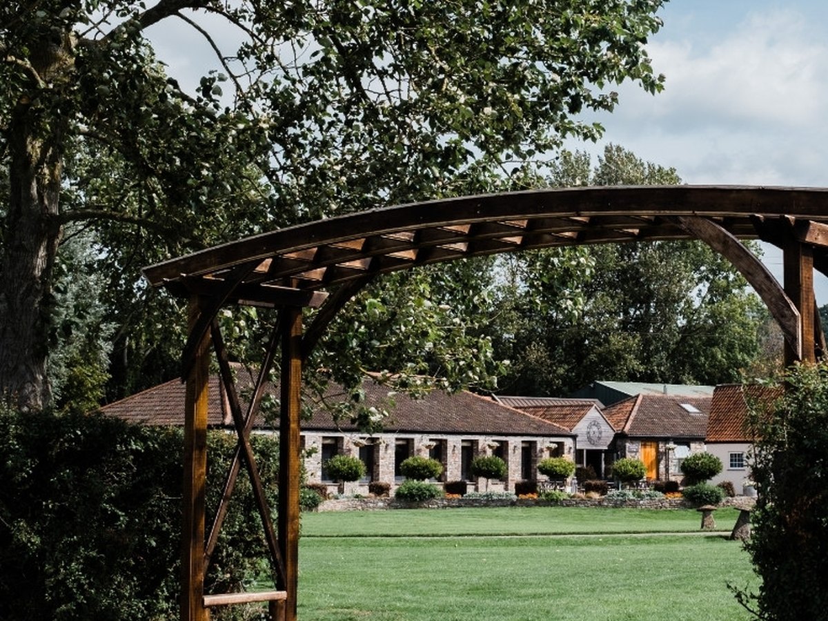 The Vineyard